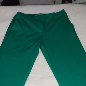 LOFT Women's Green The Devin Slim